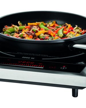 Induktionskocher IK 20TC